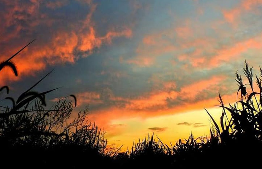 ဂျုး လူမျိုးတို့ရဲ့ ပညာစကားများ